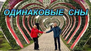 Дуэт "Золотая осень" в видеоверсии супер-хита Олега Митяева, снятой на территории Минвод и Грозного.