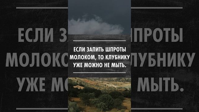 Шучу о шпротах