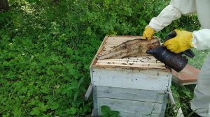 проверяем ульи