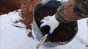 Можно ли садить виноград зимой???