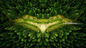 Отчеты и отходы: как я попала в эпицентр проверки