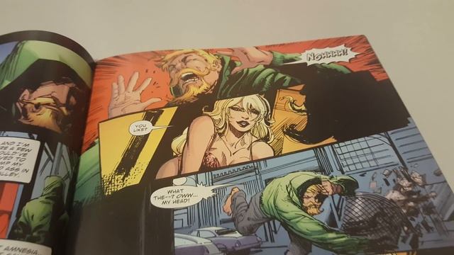 Green Arrow and Black Canary Vol 1 Issue 25 Overview