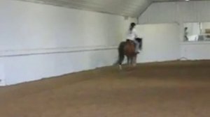 Jaimee & Josie, Hunter under saddle