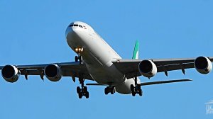 Самолет-небоскрёб длиной 75 метров - Airbus A340-600