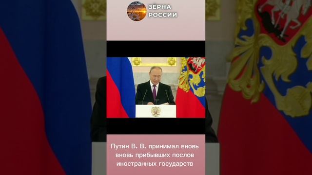 Что отражено в Казанской декларации?