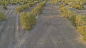 Одна из самых ужасных экологических катастроф современного мира, Аральское море