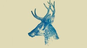 Только самые внимательные могут найти второе животное на картинке