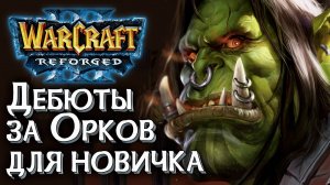 Дебюты за Орков для новичка: Разбираемся в Warcraft 3 Reforged