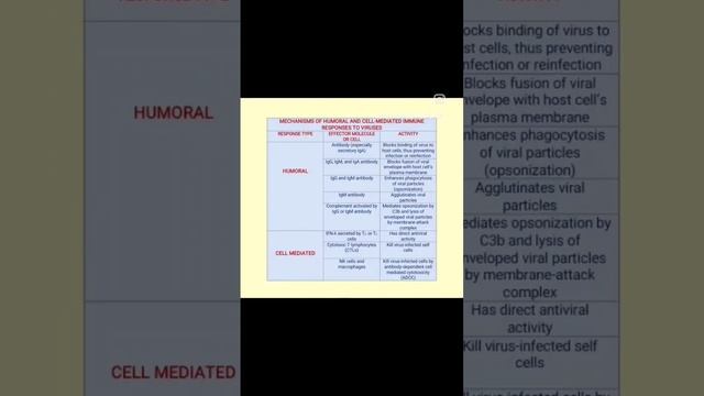 MECHANISMS OF HUMORAL AND CELL-MEDIATED IMMUNE RESPONSES TO VIRUSES...