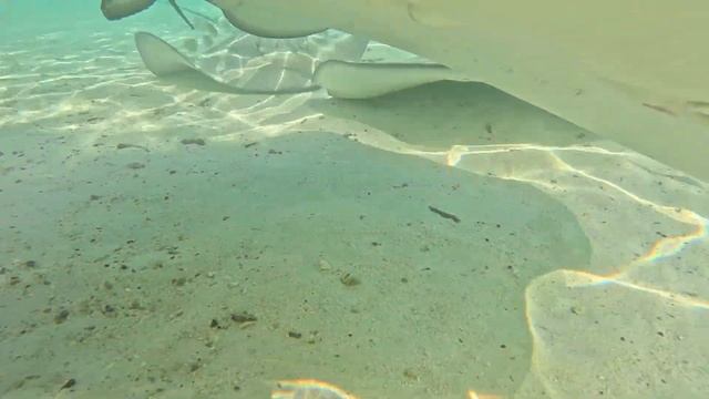 Tahiti & Bora Bora 2023 смотреть онлайн