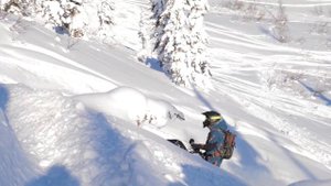 Приисковое сезон - 2022