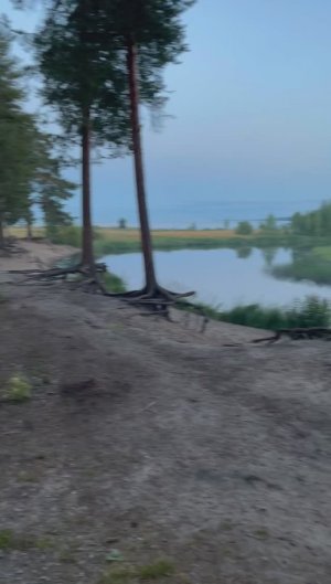 Карелия. Город Медвежьегорск. Городской парк.