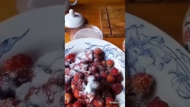 Дегустация земляники