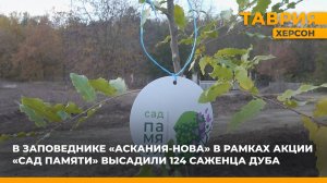 В заповеднике "Аскания-Нова" в рамках акции "Сад памяти" высадили 124 саженца дуба