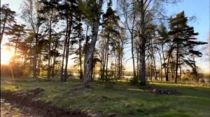 Отзыв участки деревня Калянино. Поселок Мишкин Луг