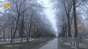РУБРИКА "БЕЗ КОММЕНТАРИЕВ"