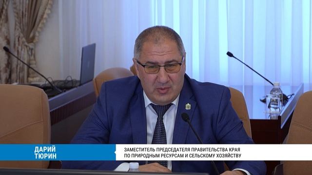 Проблемы лесной отрасли Хабаровского края