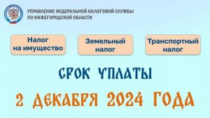 Срок уплаты налогов - 2 декабря 2024 года!