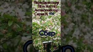 Тётя Настя. Серия N956. Диалоги с коллекторами. Банками. МФО. ФЗ 230. Антиколлекторы