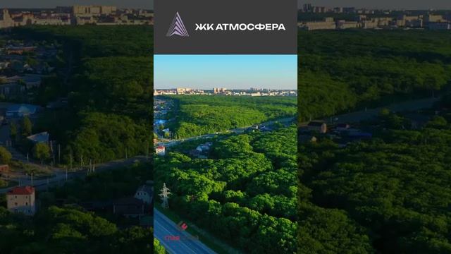 Атмосфера прекрасный вид на заповедный лес смотреть онлайн