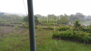 Арамболь. Поле зазеленело в мунсун.