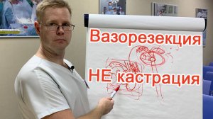 Вазорезекция – это не кастрация / Доктор Черепанов