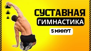Гимнастика на каждый день. Улучшаем мобильность плечевого пояса