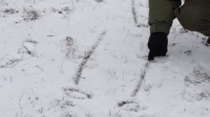 2014 Тактико-техническая подготовка.