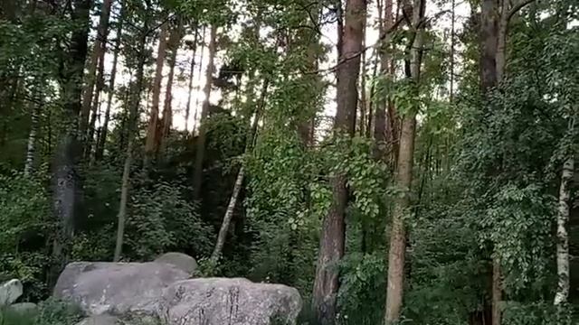 СОСНОВЫЙ БОР Л.О. 4 смотреть онлайн