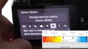 Фотография для начинающих. Экспонометр. Баланс белого.
