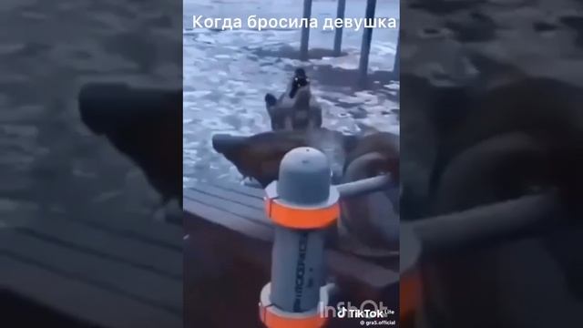реально 😂
