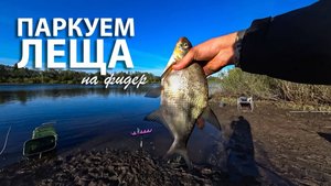 ЛЕЩИ не дают покоя. МОЩНЕЙШИЕ поклевки. Лещ на фидер.