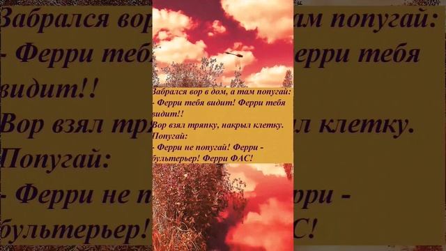 юмор 😅 анекдот 😅 #анекдоты #рекомендации #анекдот #приколы #юмор #рек #смешные #смешно #шутки смотреть онлайн