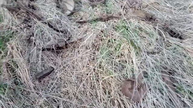 Коп металлолома. Фартовое время. День 7. смотреть онлайн