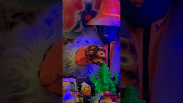 DJ LIST - Путешествие на другие планеты (Travel to other planets) 06/06/24 смотреть онлайн