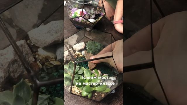 Мастер-класс по созданию флорариума florarium-flo.ru #floфлорариумы #флорариуммоскваподарок