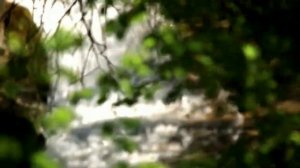 ТУРКЕСТАНСКИЙ легион вермахта