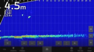 ПОВЕДЕНИЕ СУДАКА и ЩУКИ ПОЗДНЕЙ ОСЕНЬЮ. РАЗБЕРАЮСЬ с PANOPTIX GPSMAP 923. ЧТО ВИДНО В ЭКРАН. 9.11