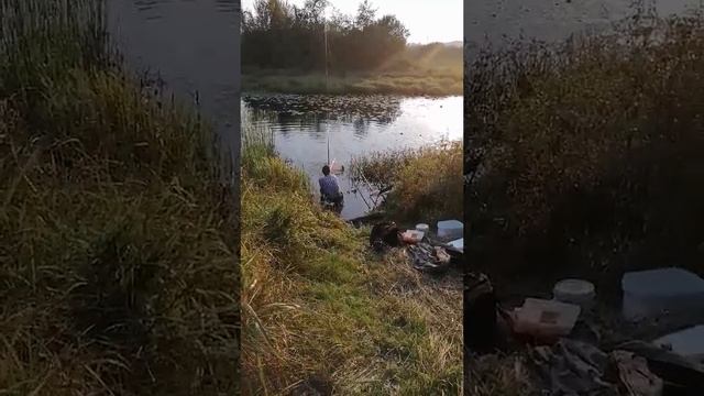 Линь попался