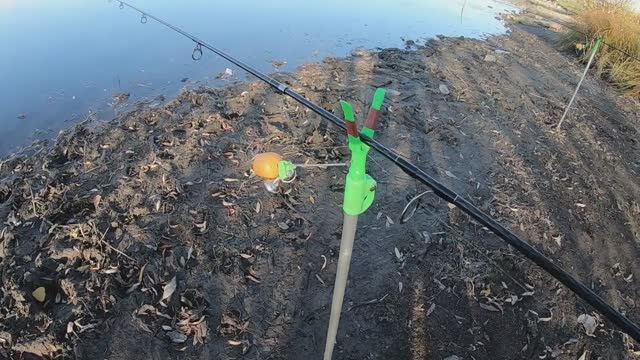 Рыбалка. Осенний карась. Слышу звон бубенцов издалёка.... 10.10.2023 г. смотреть онлайн