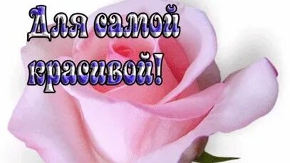 Комплемент женщине!