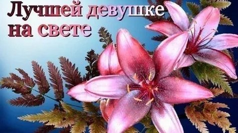 Комплемент женщине!