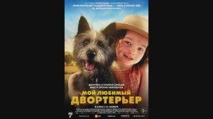 Мой любимый двортерьер