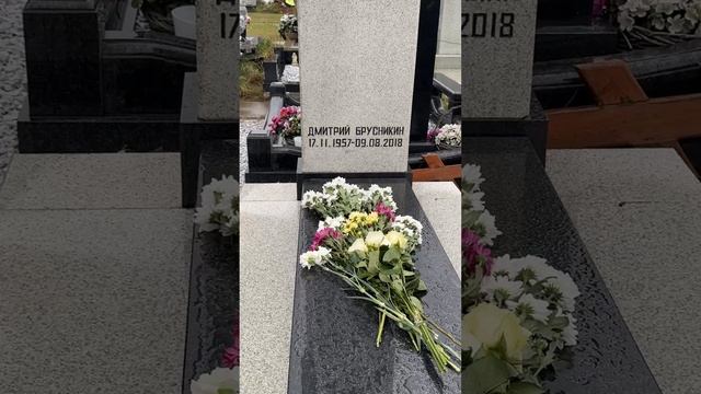 67 лет со дня рождения режиссёра Дмитрия Брусникина🙏17 ноября 2024. Троекуровское кладбище. #shorts
