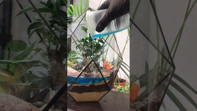 Мастер классы, флорариумы, растения Florarium-flo.ru #мастеркласс #флорариумы #суккуленты #растения