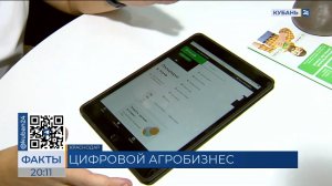 Как платформа «Поле.рф» помогает сельхозпроизводителям Кубани развивать бизнес