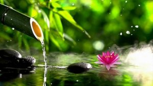 Сборник ЛУЧШИХ Мелодий от которых мурашки по телу! Музыка Сергея Чекалина #4
