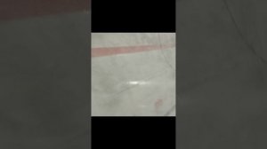 хоккей