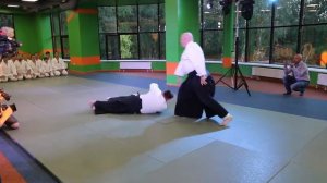 2018 Айкидо в Михайловске. Геннадий Михайловский и Павел Сиренко.