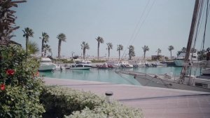 7318005-hd_1920_1080_30fps